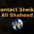 alpha protocol contact sheikh ali shaheed