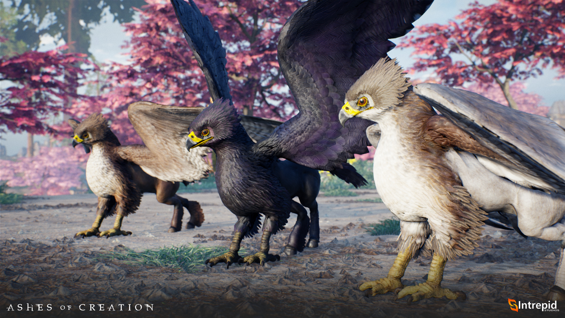 ashes of creation mounts hippogryphs