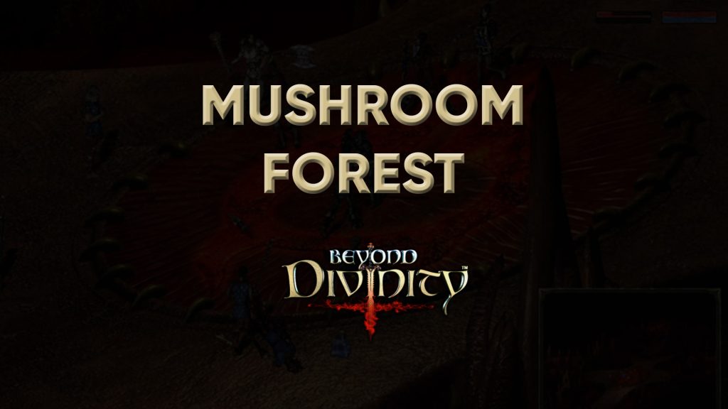 beyond divinity walkthrough mushroom forest