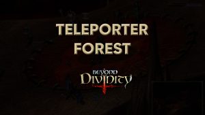 beyond divinity walkthrough teleporter forest