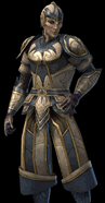 champions of norrath character highelfcleric