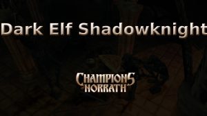 champions of norrath dark elf shadowknight