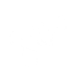 compactpistolicon sotf