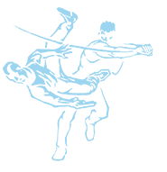 cyberpunk 2077 perk limiterremoval