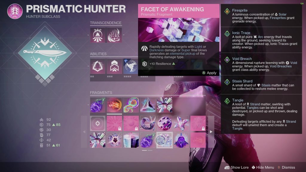 destiny 2 facet of awakening fragment in menu