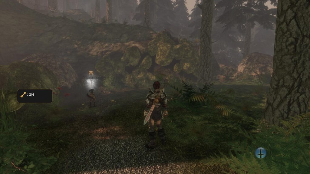 fable iii silverpines 1 silver key