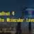 Fallout 4 The Molecular Level Guide