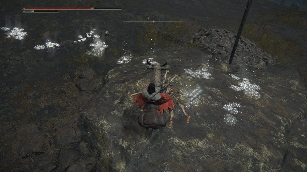 mt gelmir invisible beetle turn around elden ring