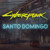 Santo Domingo Cyberpunk 2077 District