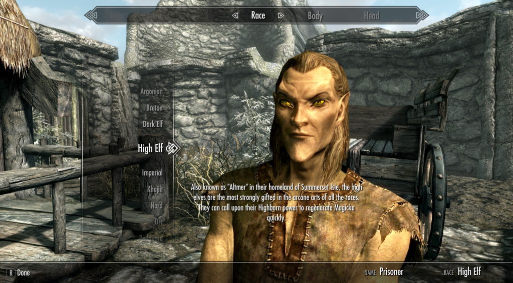 skyrim se altmer