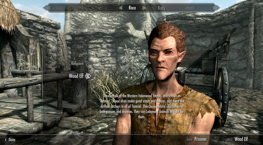 skyrim se bosmer