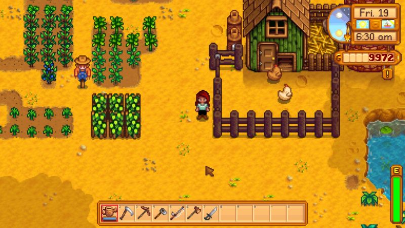 stardew valley singleplayer