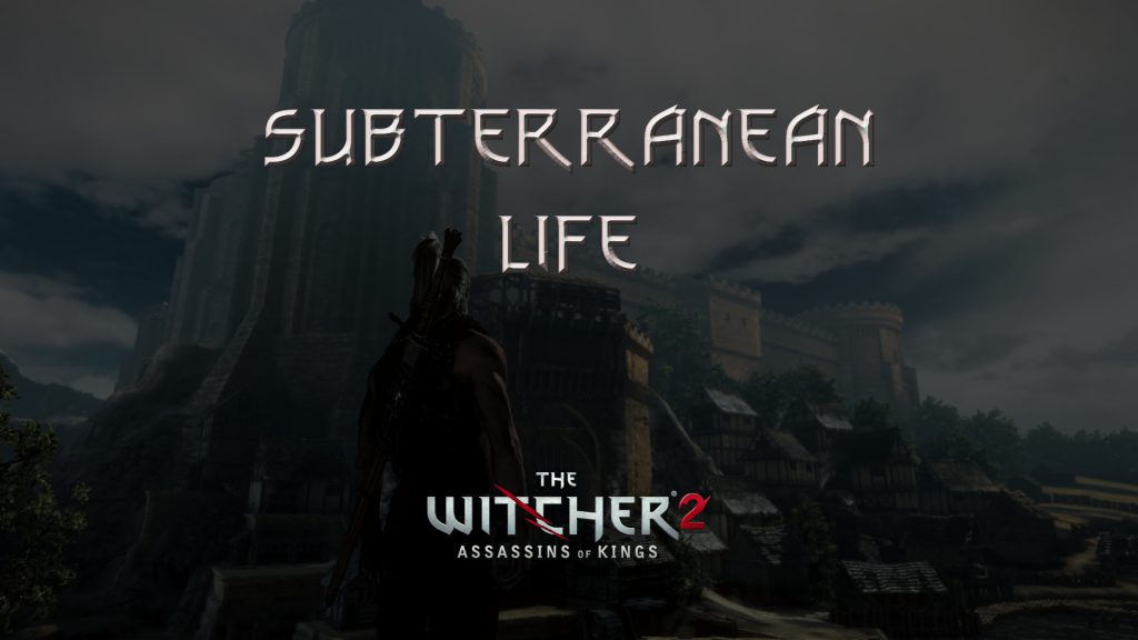 witcher 2 subterranean life featured image