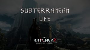 witcher 2 subterranean life featured image