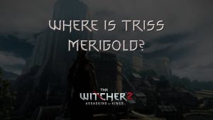 witcher 2 where is triss merigold featured image