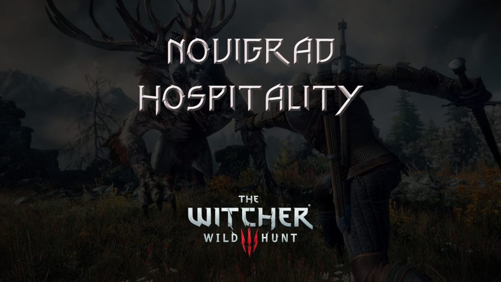 witcher 3 the wild hunt novigrad hospitality featured image