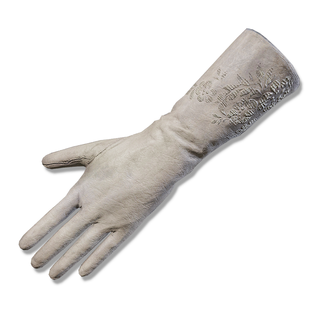 Astrologer Gloves