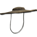 Dane's Hat