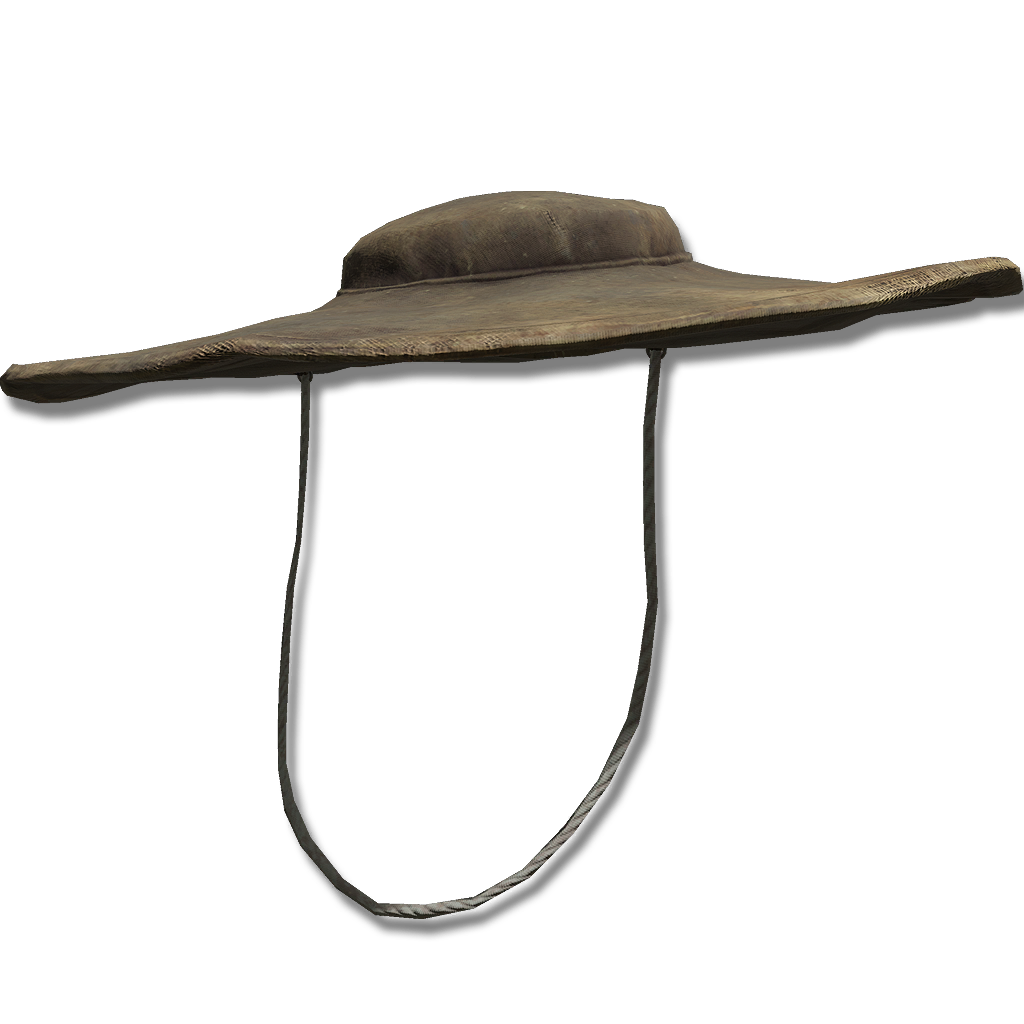 Dane's Hat