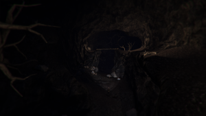 Through the Woods Screenshot 2 survival horror dahl darkness forest old eric