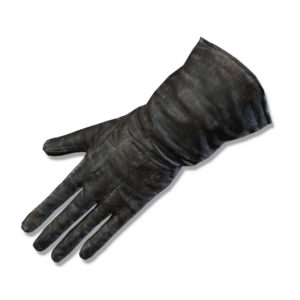 Preceptor's Gloves