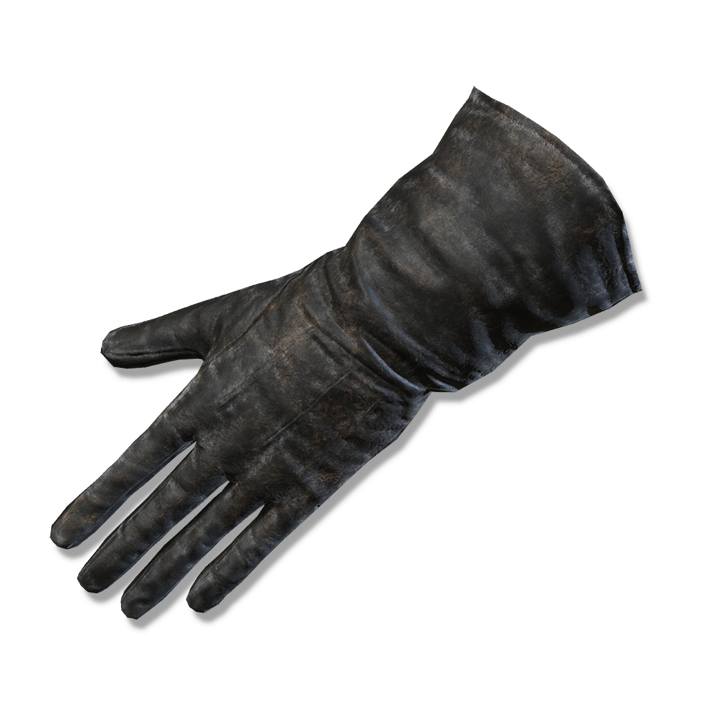 Preceptor's Gloves