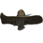 Spellblade's Pointed Hat