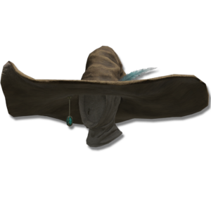 Spellblade's Pointed Hat