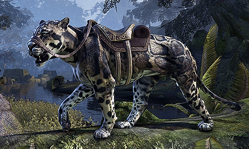 clouded leopard mount