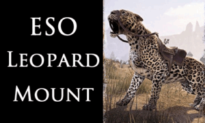 eso leopard mount