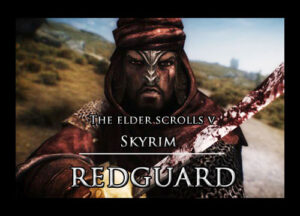 skyrim even better