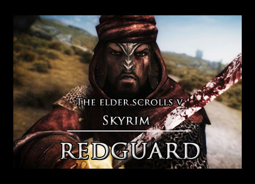 skyrim even better